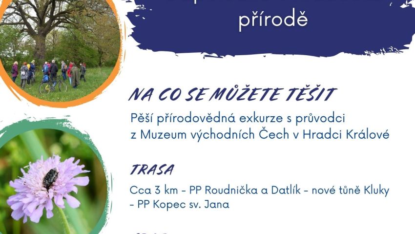 Odpoledne v hradecké přírodě